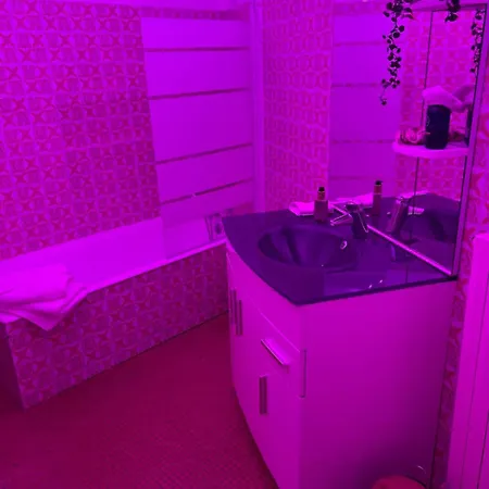 Flower - Jacuzzi Interieur - T2 Toulouse