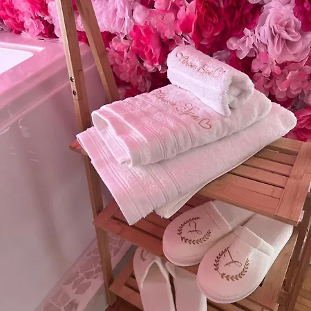 Flower - Jacuzzi Interieur - T2 דירה טולוז
