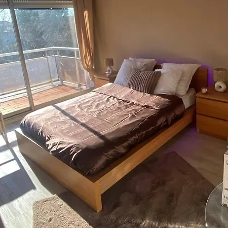Flower - Jacuzzi Interieur - T2 Apartment Toulouse