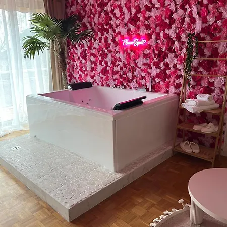 Flower - Jacuzzi Interieur - T2 * Tolosa